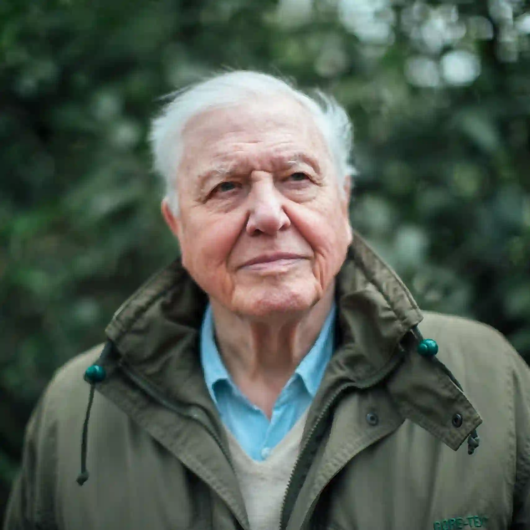 Free Sir David Attenborough AI Voice Generator (no sign-up, no limits)